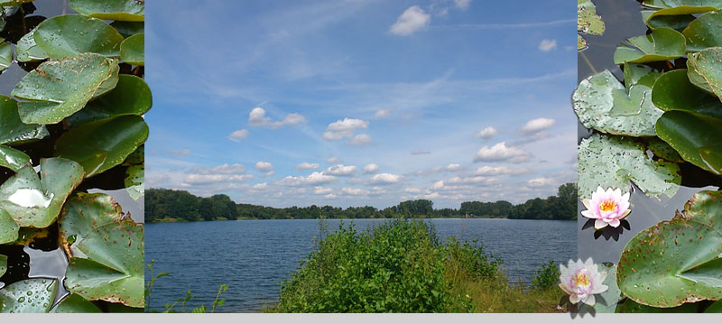 Willkommen auf der Website von Simone Hettling